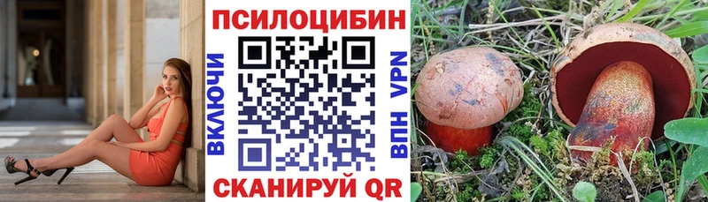 Псилоцибиновые грибы Psilocybe  blacksprut онион  Котлас 